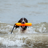 Sporting Saint Water Dummy